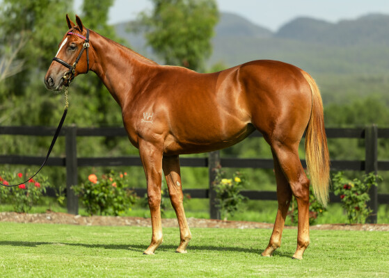 Lot 302: Stay Inside / I Am Eloquent