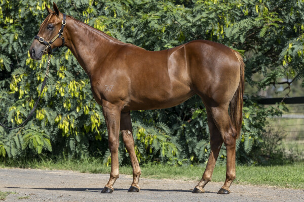 Lot 694: Written By / Sudden Wealth