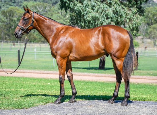 Lot 616: Written By / Seaflare