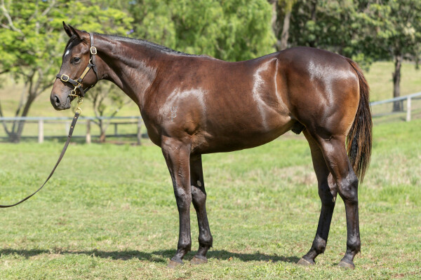 Lot 183: Wootton Bassett (GB) / Elegant Air