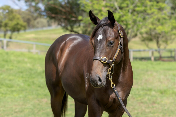 Lot 183: Wootton Bassett (GB) / Elegant Air