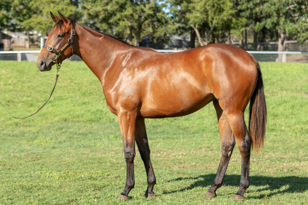 Lot 188: Farnan / Emotional Moment (GB)