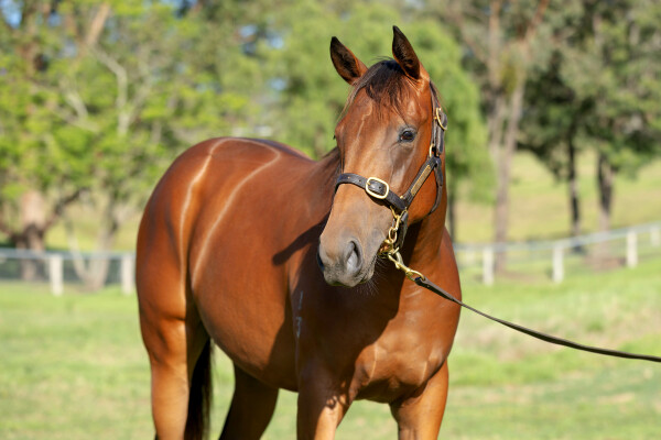 Lot 188: Farnan / Emotional Moment (GB)