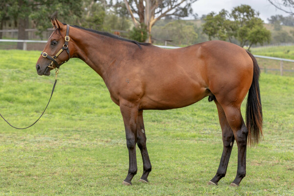 Lot 422: Russian Revolution / Mirjulisa Lass