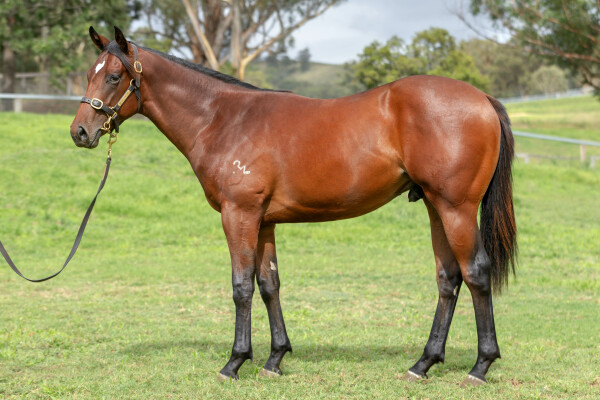 Lot 797: Portland Sky / Your Time