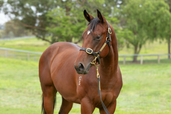 Lot 797: Portland Sky / Your Time