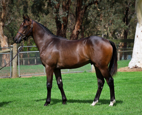 Lot 211: Ole Kirk / Fashion Sniptz