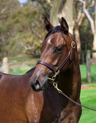 Lot 211: Ole Kirk / Fashion Sniptz