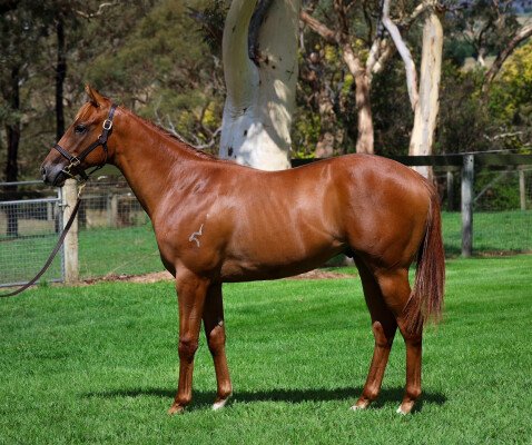 Lot 323: Ole Kirk / Ineffable