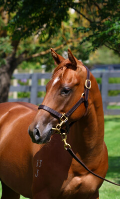 Lot 323: Ole Kirk / Ineffable