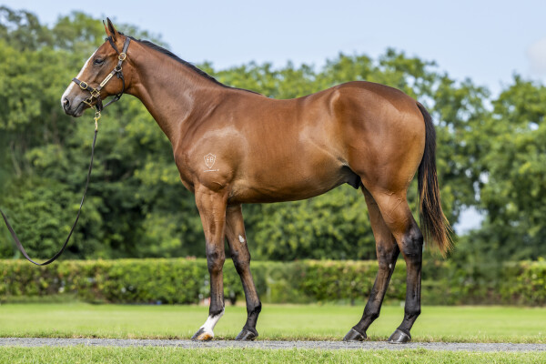 Lot 309: Spirit of Boom / I'm Rosie