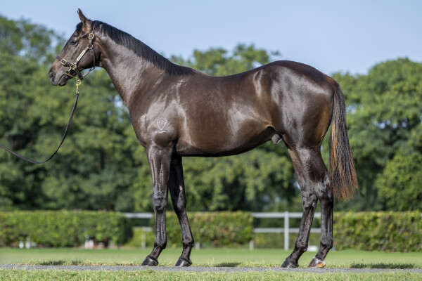 Lot 392: Shamus Award / Lot Three Four One