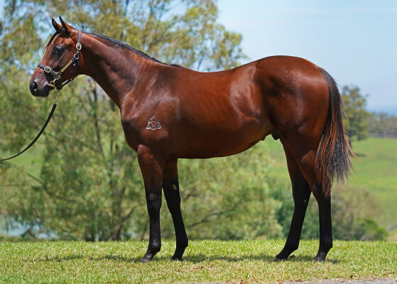 Lot 9: Cosmic Force / Aghna