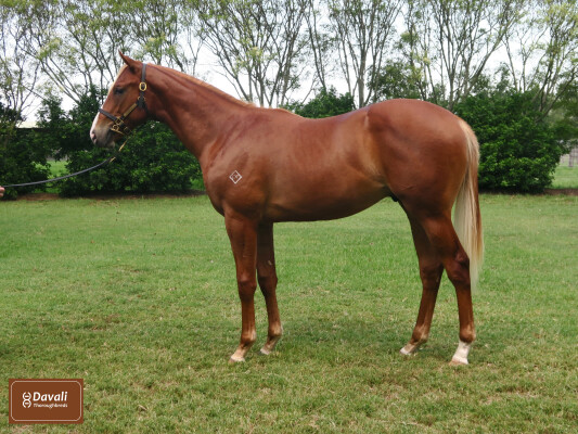 Lot 669: Hanseatic / Sparks Alight