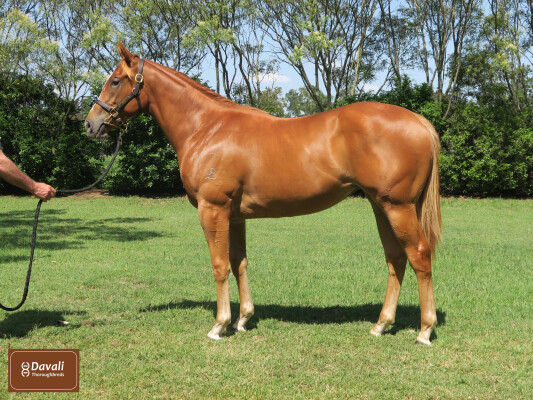 Lot 217: Headwater / Fill Me Up