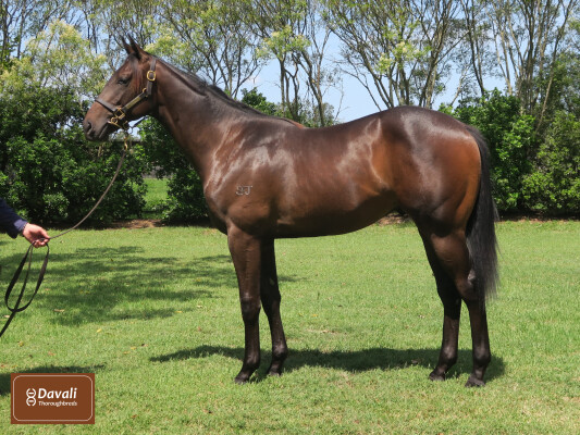 Lot 378: All Too Hard / Lillemor