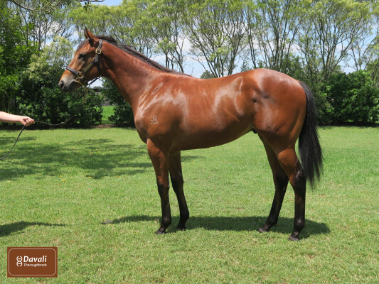 Lot 524: Captivant / Pinup Miss