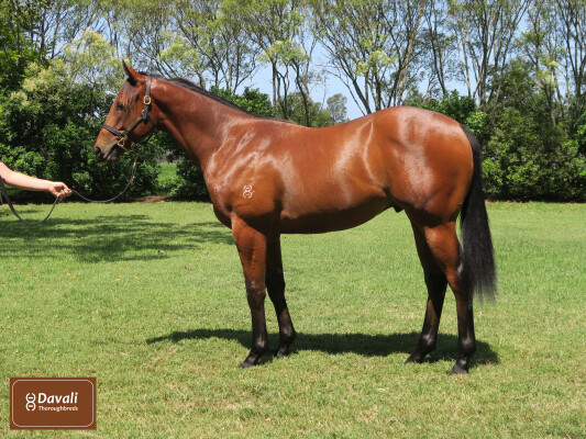 Lot 649: Hellbent / Sleepy Heart