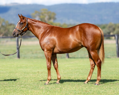 Lot 171: Profiteer / Don'tspoiltheparty