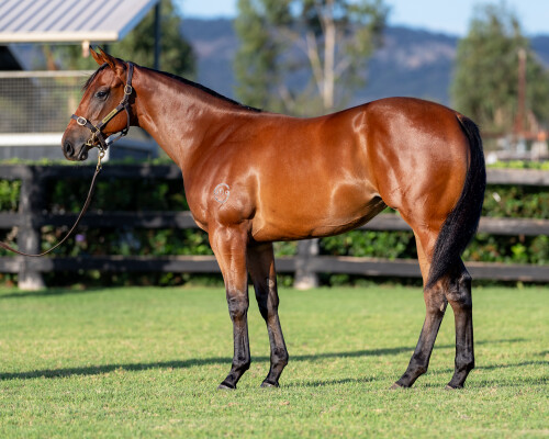 Lot 637: Portland Sky / Shimmering Light