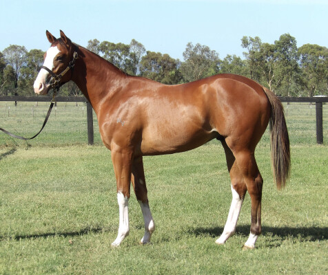 Lot 598: The Autumn Sun / Royal Tower