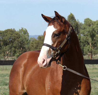 Lot 598: The Autumn Sun / Royal Tower