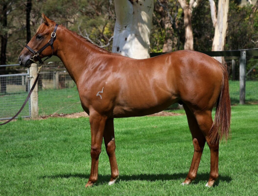 Lot 323: Ole Kirk / Ineffable