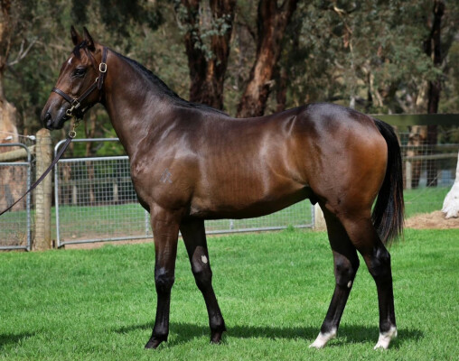 Lot 211: Ole Kirk / Fashion Sniptz