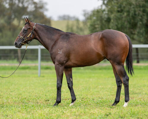 Lot 55: Astern / Bedizened