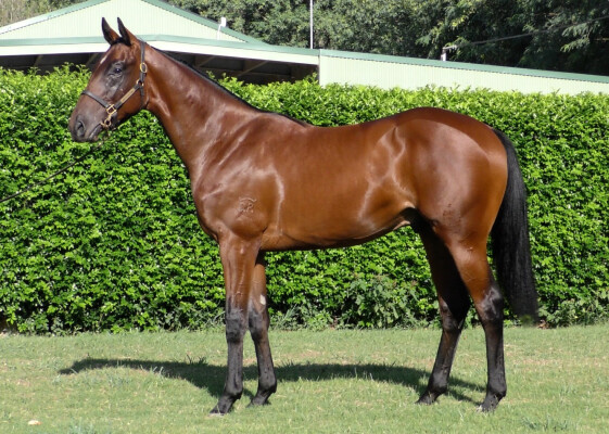 Lot 512: Exceedance / Pearl Liner