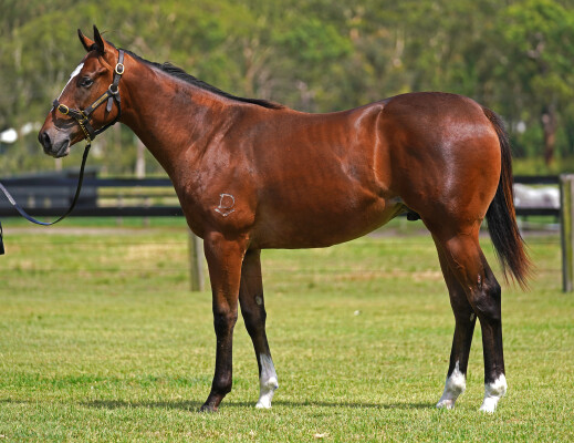 Lot 190: Blue Point (IRE) / Empowerment