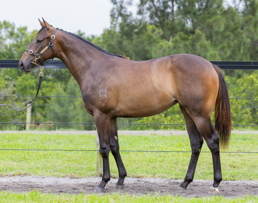 Lot 319: Stay Inside / In My Feelings