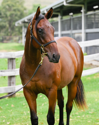 Lot 146: Profiteer / Deep Heart