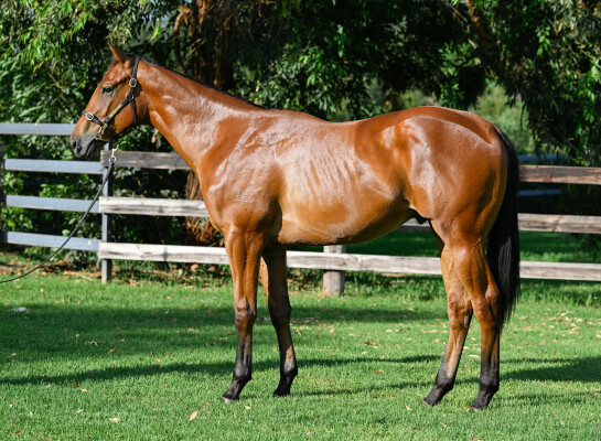 Lot 433: Written By / Miss Penfold