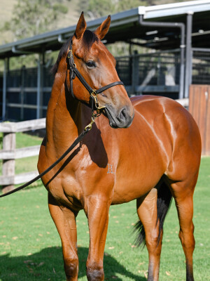 Lot 433: Written By / Miss Penfold