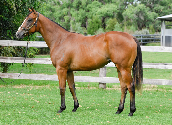 Lot 491: Stay Inside / Oh My Mimi