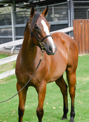 Lot 491: Stay Inside / Oh My Mimi