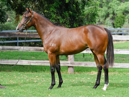 Lot 588: Stay Inside / Rockolicious