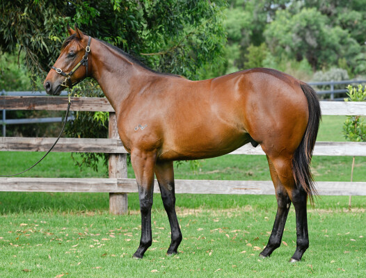 Lot 93: Farnan / Can't Get Enough