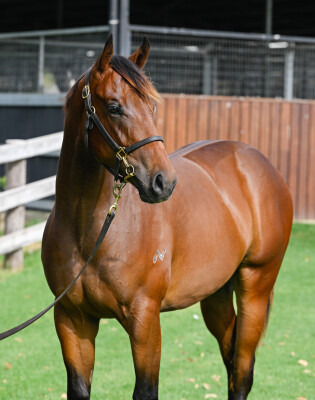 Lot 93: Farnan / Can't Get Enough