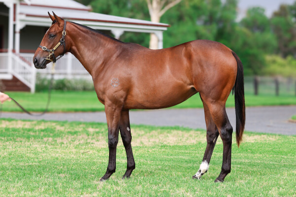 Lot 709: North Pacific / Taste of Money