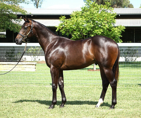 Lot 249: Hellbent / Glamarama