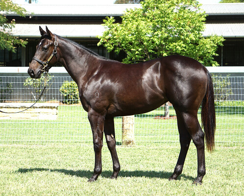 Lot 282: Pierata / Heaven or Hell