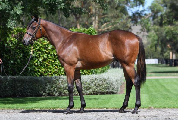 Lot 597: Wootton Bassett (GB) / Royal Myth