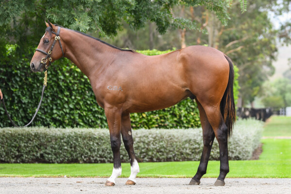 Lot 795: Russian Revolution / You Rang