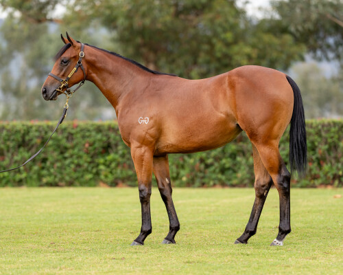 Lot 232: Bivouac / Folk Song