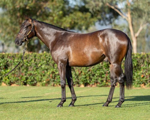 Lot 245: Stay Inside / Geoffrin (GB)