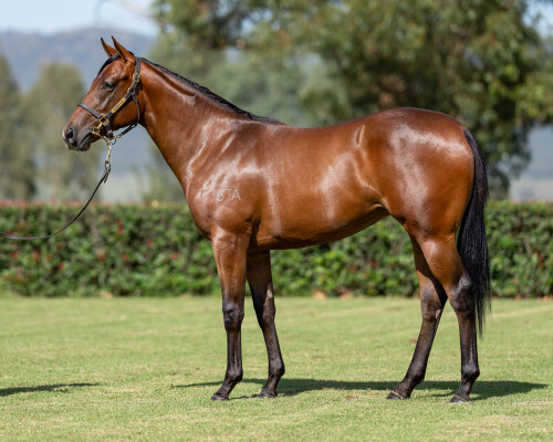 Lot 307: Stay Inside / I'llhandalthecash (USA)