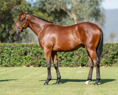 Lot 329: Prague / Invincible Gem