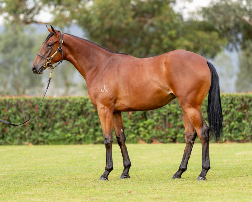 Lot 420: King's Legacy / Midas Well